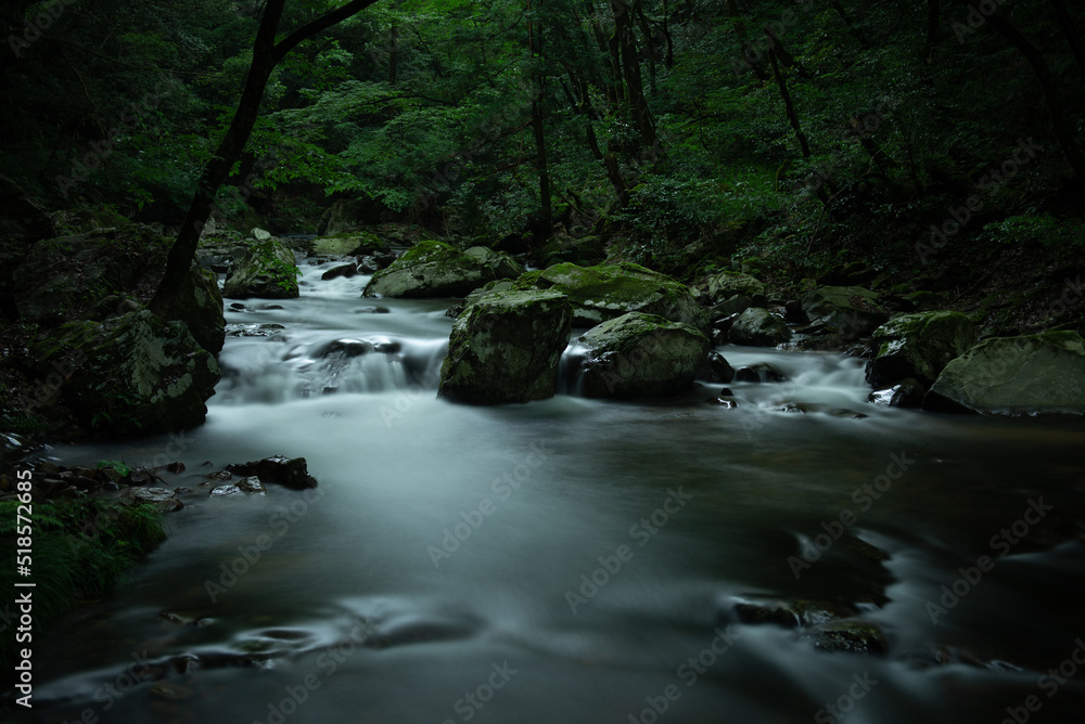 新緑の渓流