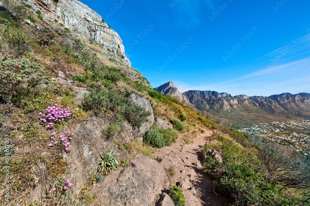 美丽的山景和被无花果花植物环绕的徒步旅行或步行道