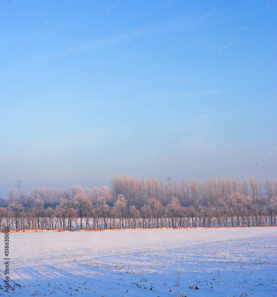 White snow covering landscape on a winter day with soft blue sky background and copy space. Frost co