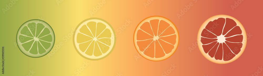 Slices of ripe citrus fruits on colorful background