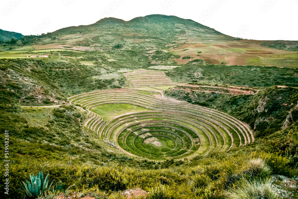 Agricultural terraces in Sacred Valley Moray in Peru. Soth America nature