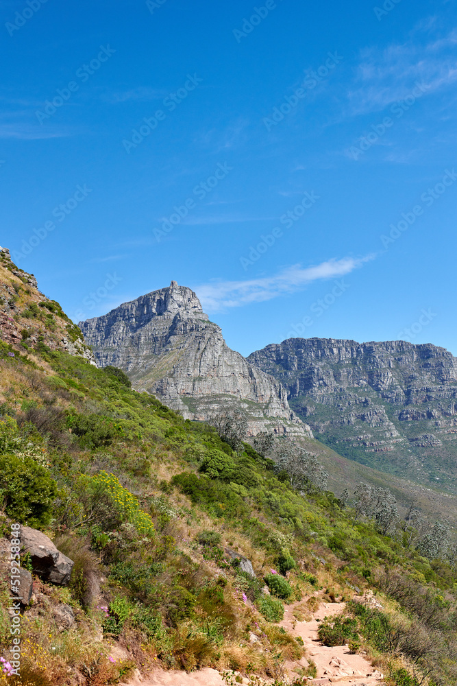 Landscape, scenic and copyspace view of plants, greenery and bushes on a mountain against a clear bl