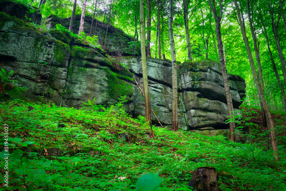 A beautiful landscape of the trail in the Giant Mountains to the Chojnik Castle. Poland