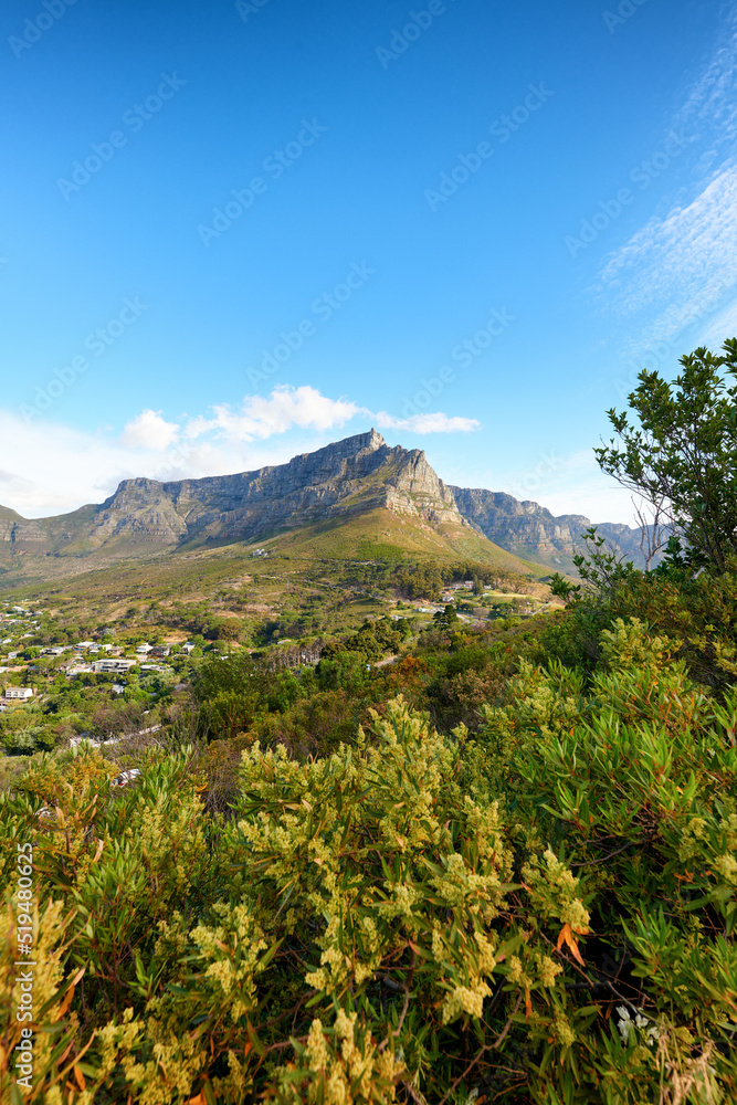 Natural green trees, bushes and a blue sky overlooking rocky cliffs on a hill. Beautiful landscape v