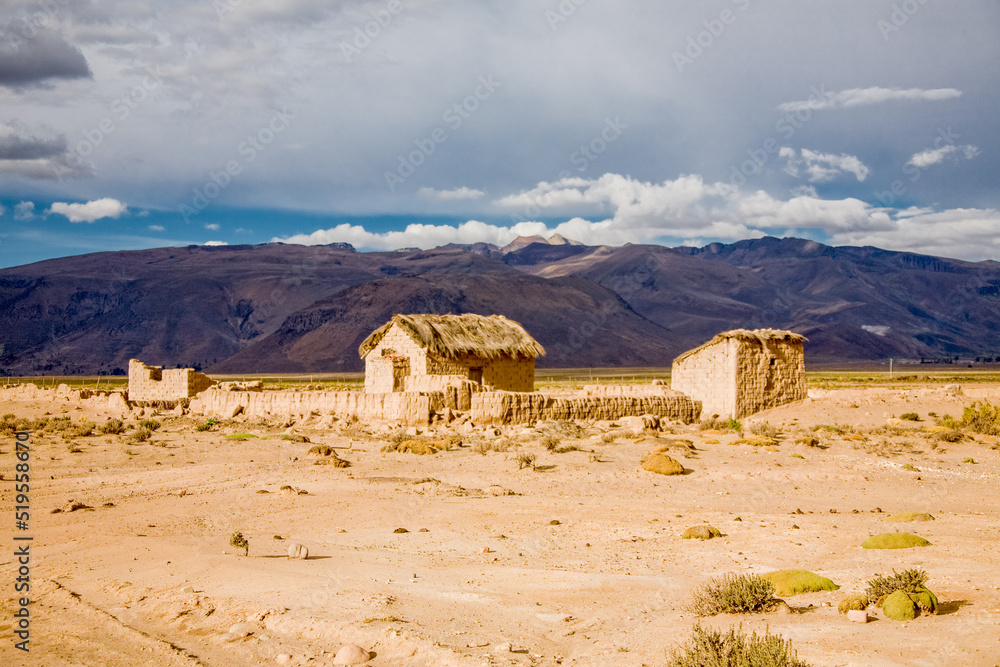 Landscape of Bolivia, prairie and mountains. Nature of Altiplano, South America