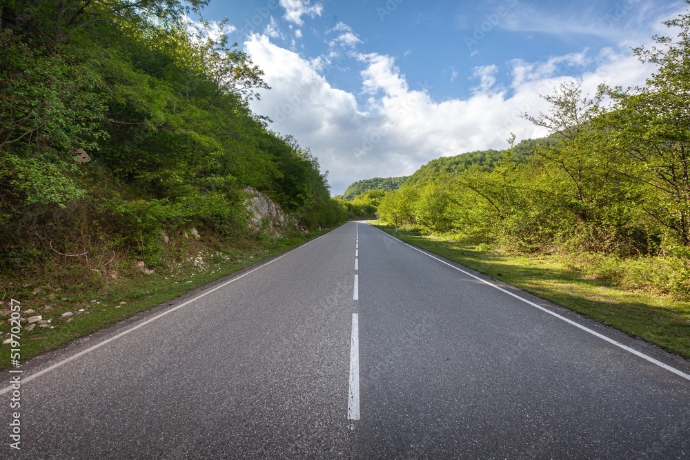 山路。绿色森林的景观，天空中的道路背景