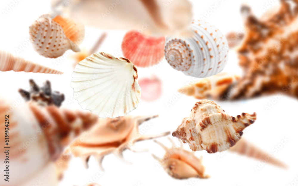 Many falling sea shells on white background