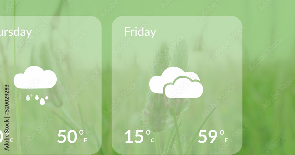 草地上的天气预报图像