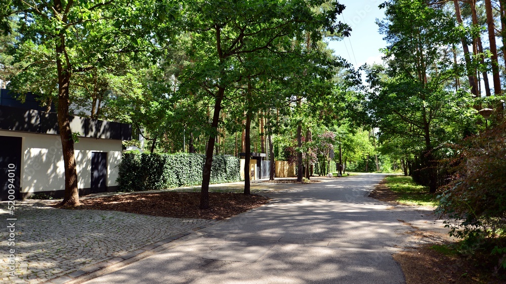 Area with  family houses in green district