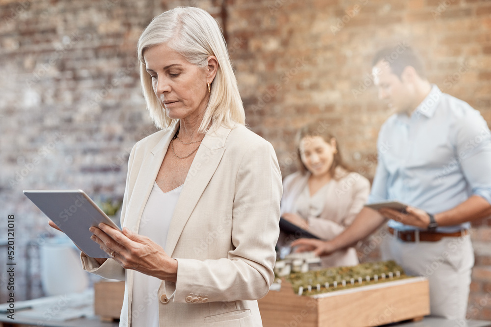 Mature female architect using a tablet to analyze designs in a modern office. Senior business woman 