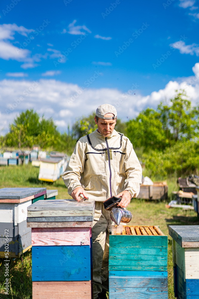 Beekeeper working in uniform. Summer honeycomb farmer.