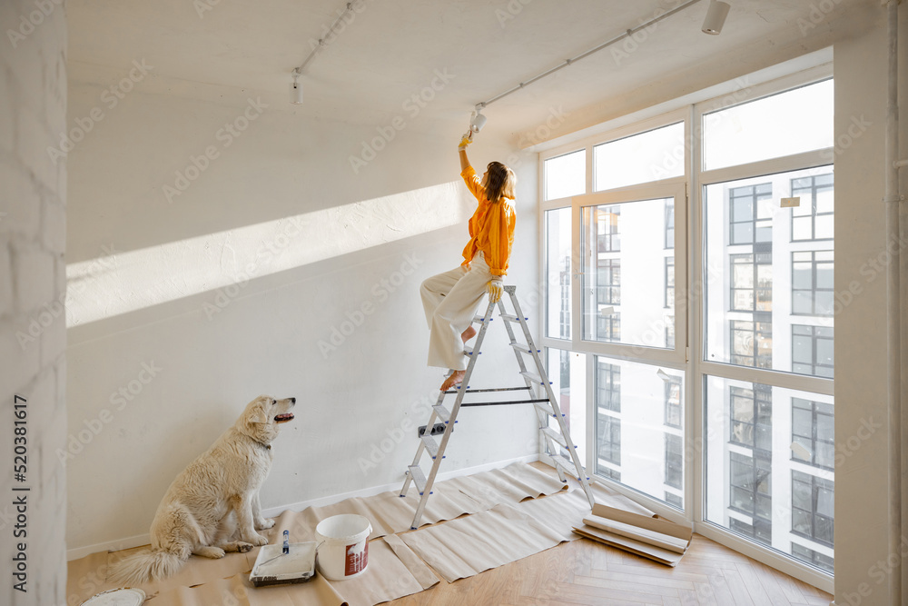 Woman paints the wall in white color, stands on ladder while making repairment with her dog in newly