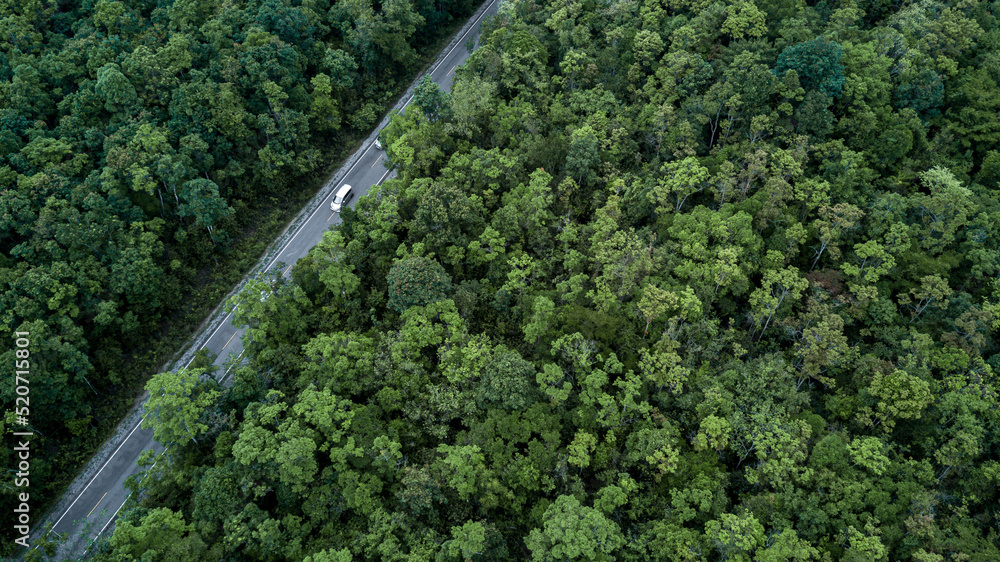 鸟瞰绿色森林和沥青道路，俯视森林道路穿过森林，汽车问世