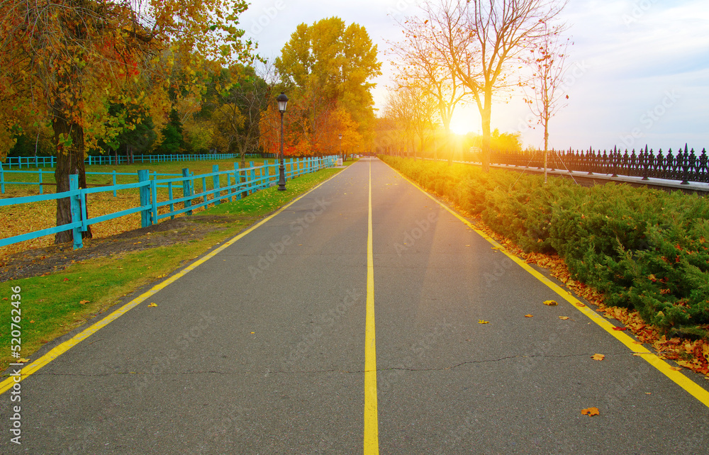 Autumn road in colorful park on sunset