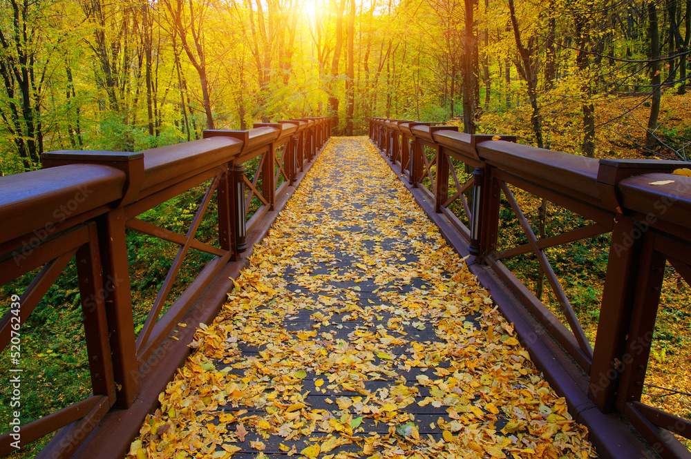 Autumn landscape in the forest with wooden bridge