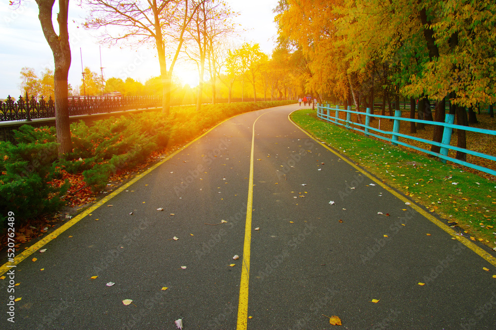 Autumn road in colorful park on sunset