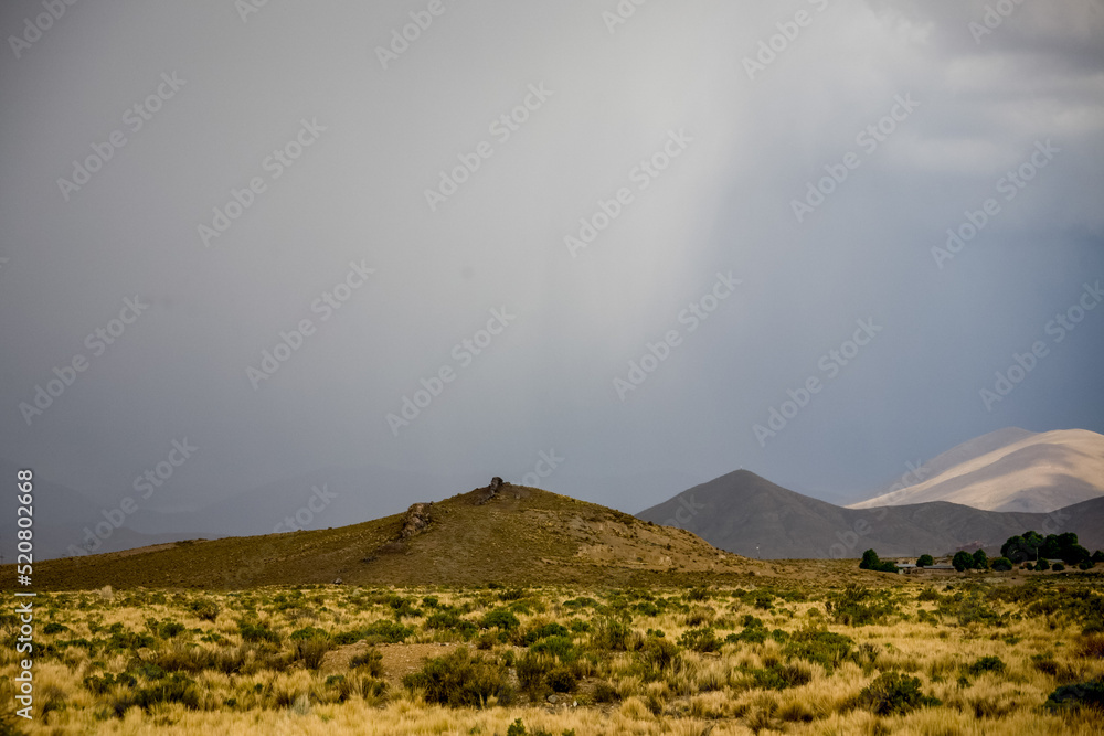 Nature of Bolivia. Landscapes of the LaPaz - Uyuni Road, Bolivia