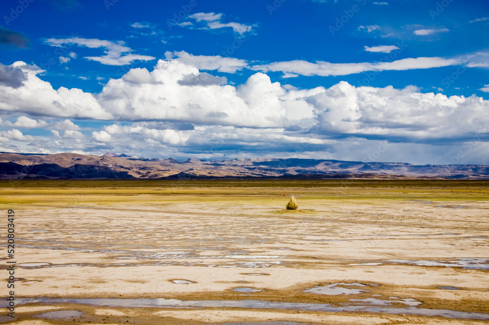 Landscape of Bolivia, prairie and mountains. Nature of Altiplano, South America