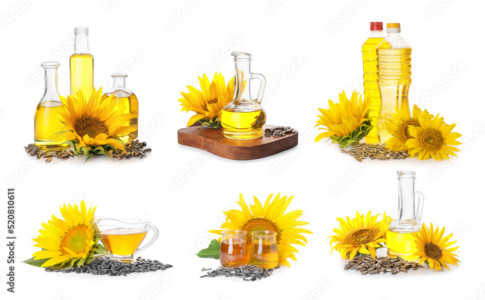 Set of sunflower oil on white background