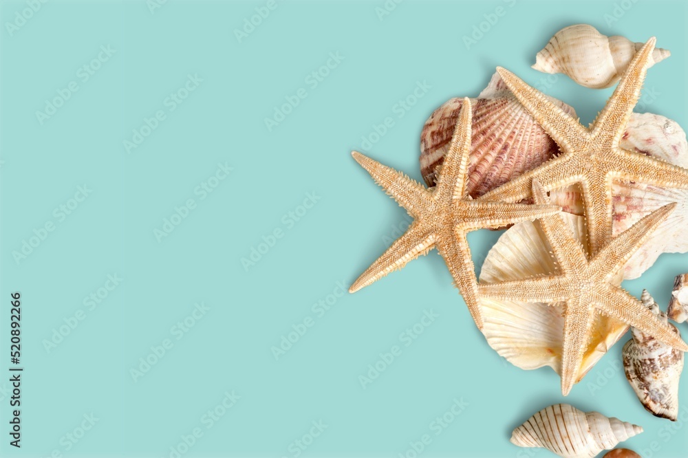 Summer time concept composition with beautiful starfish and sea shells on colored table