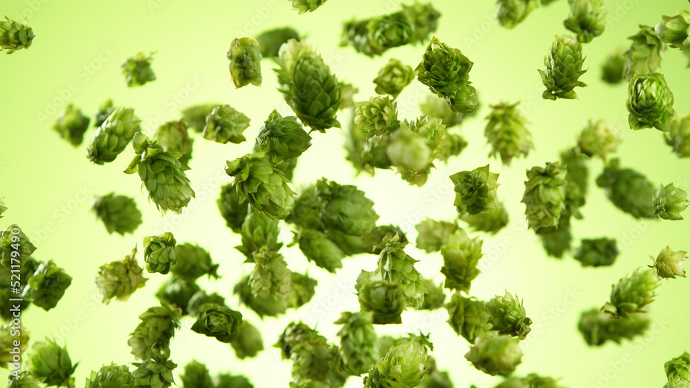 Freeze motion of flying hops cones on green background.