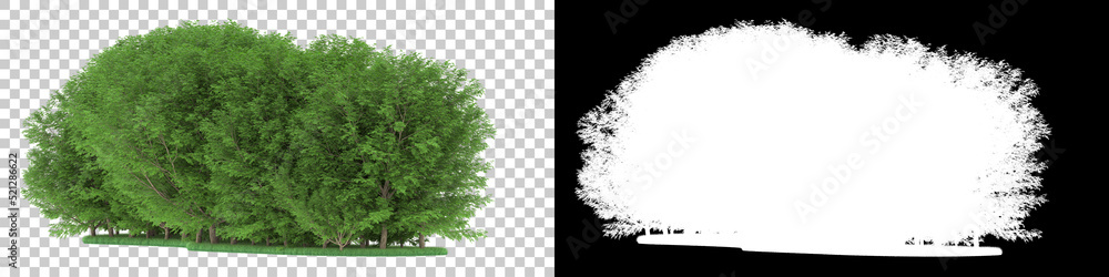 使用遮罩在背景上隔离的森林。3d渲染-插图