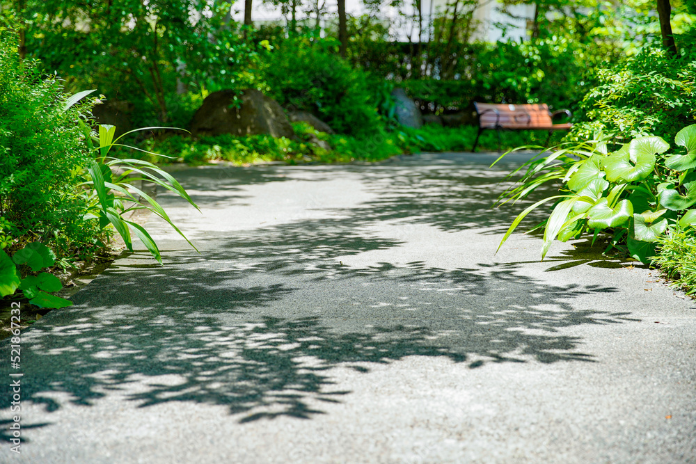 緑あふれる遊歩道と木漏れ日 