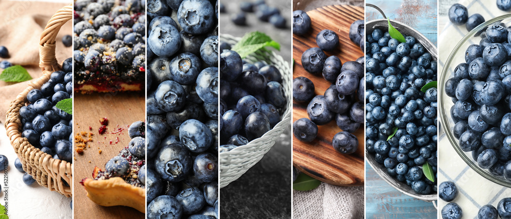 Collage of tasty tart with fresh blueberries, closeup