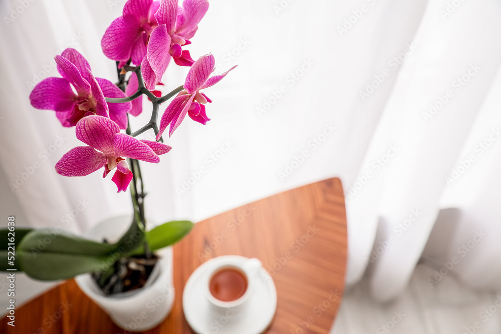 Closeup view of beautiful orchid flower on table with cup of coffee