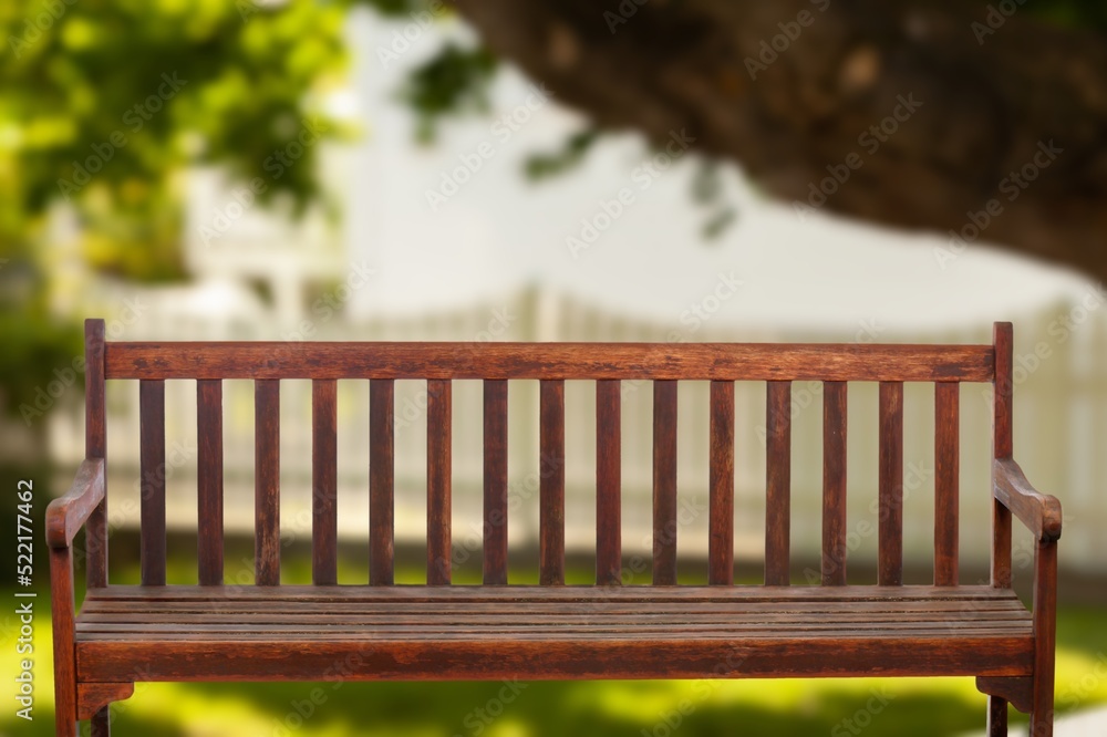 Empty wood bench on green grass in the city park during summer day. Public chair on the lawn in scen