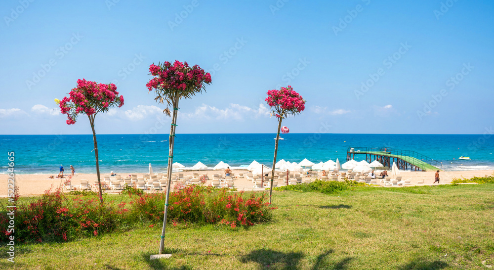 Beautiful natural landscape of beach in Mediterranean resort town with oleander in bloom against a b