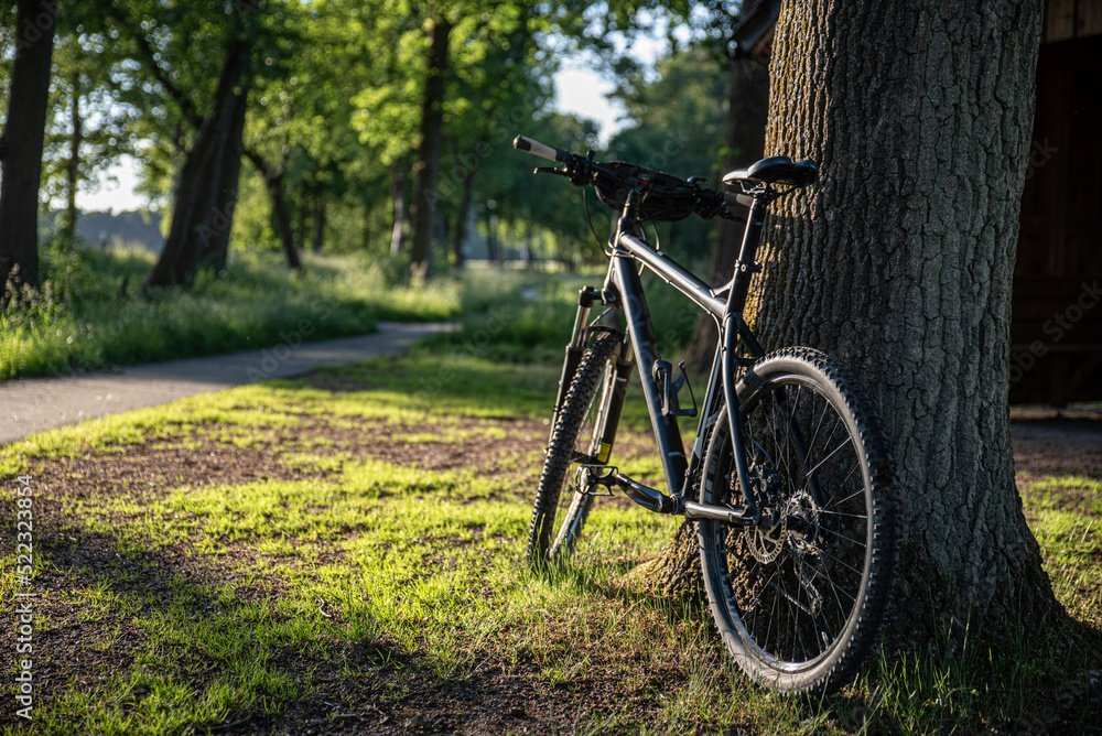 Fahrradweg in Schneverdingen Lüneburger Heide