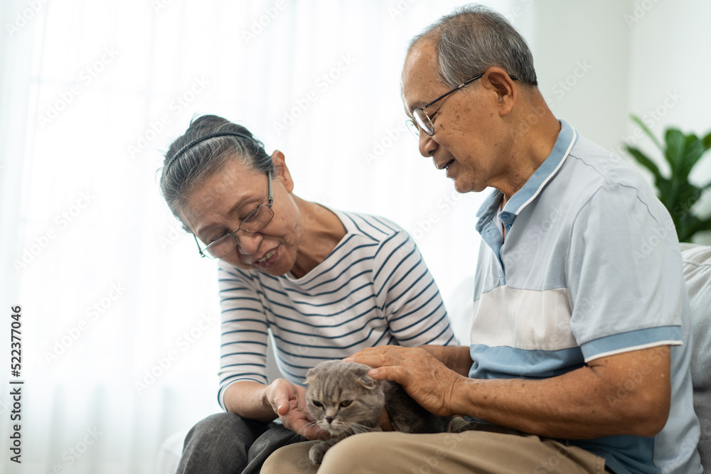 亚洲高级情侣在客厅抚摸家猫玩耍