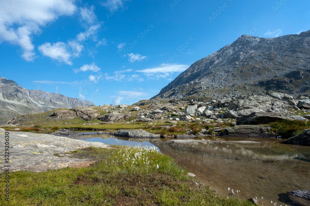 Etang daltitude dans le paysage de montagne du massif de la Vanoise dans les Alpes en France en été