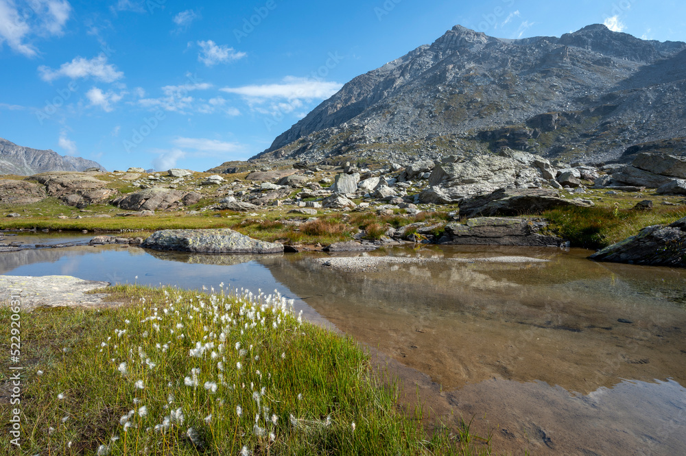 Etang daltitude dans le paysage de montagne du massif de la Vanoise dans les Alpes en France en été