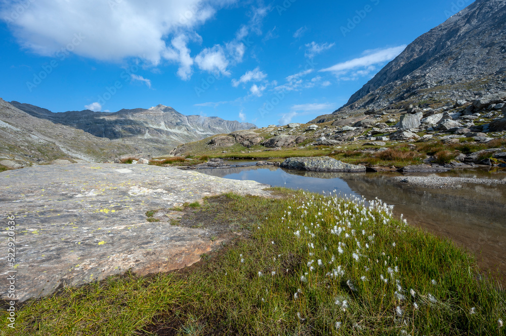 Etang daltitude dans le paysage de montagne du massif de la Vanoise dans les Alpes en France en été