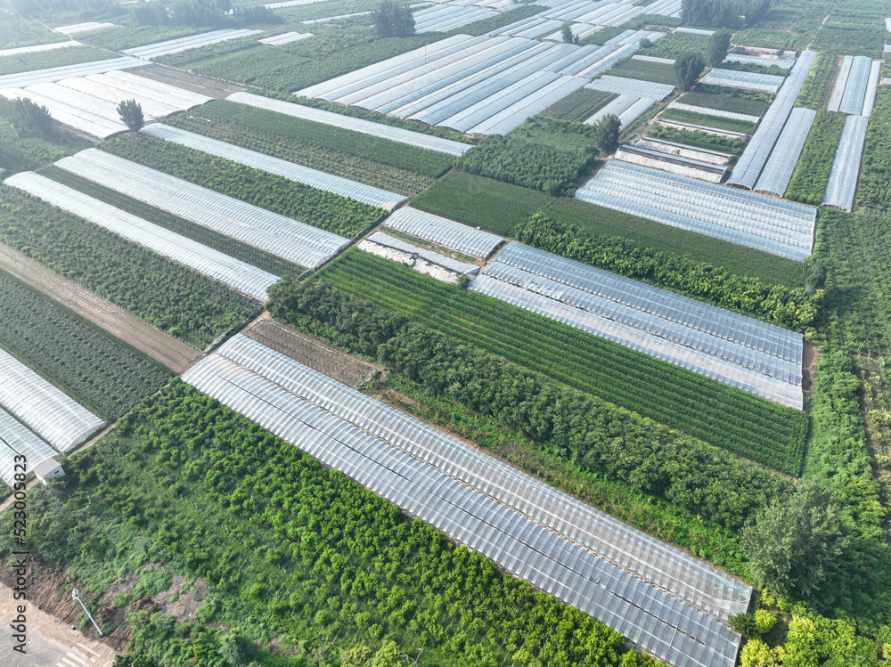 solar panels with farm