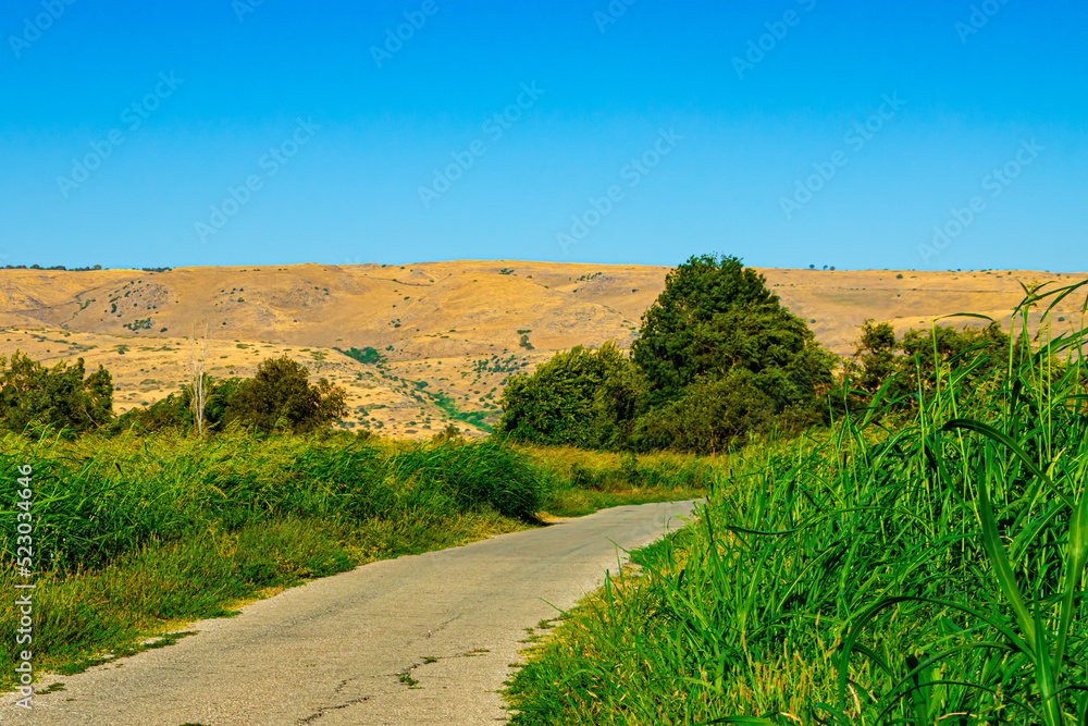 A path between green plants under blue sky in public park, yellow hill, shot with 42mm lens