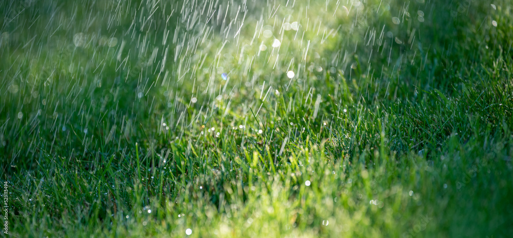 Raindrops fall on asphalt and green grass