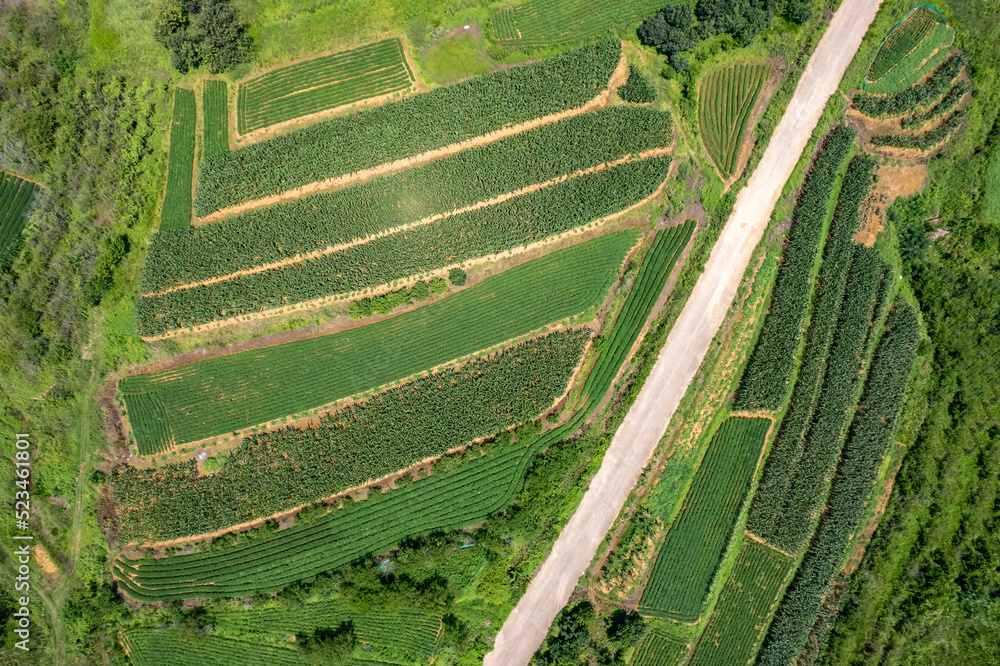 Aerial photography outdoor green farmland and road