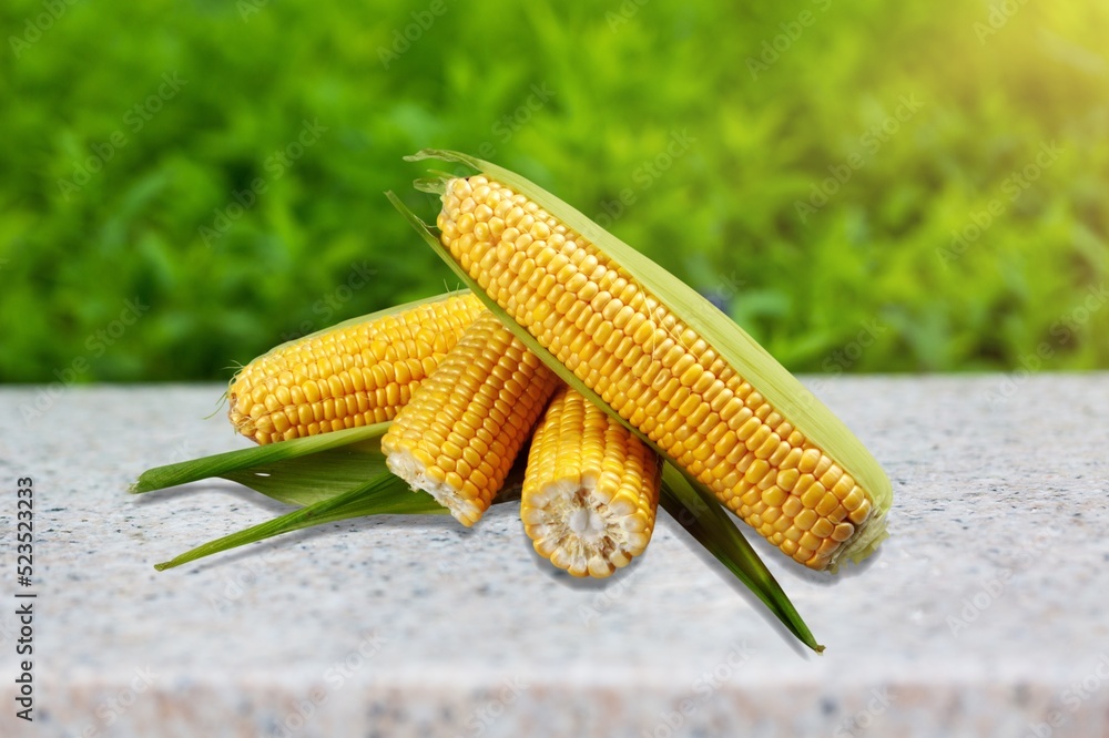 Fresh ripe yellow corn on the desk