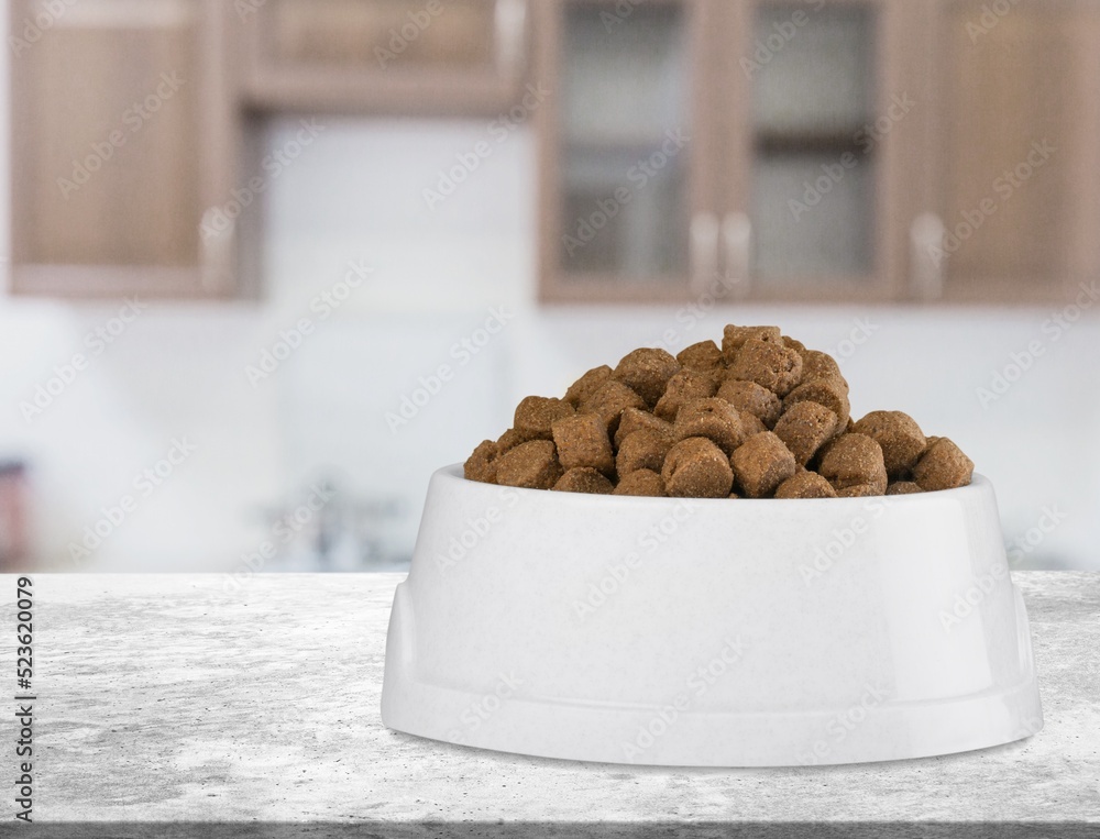 Dry cat pet food in a bowl. Vitamins and nutrients for good health and energy of pets.