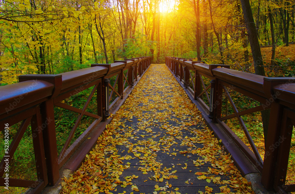 Autumn landscape in the forest with wooden bridge