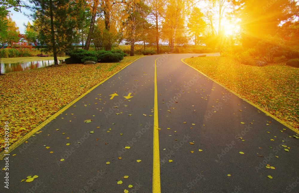 Autumn road in colorful park on sunset