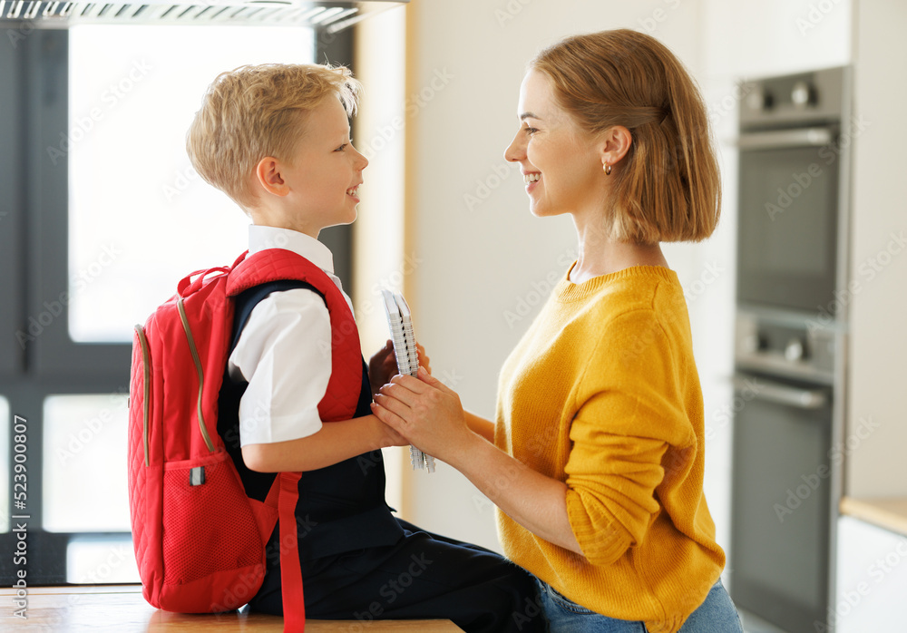 Mother preparing son for school studies