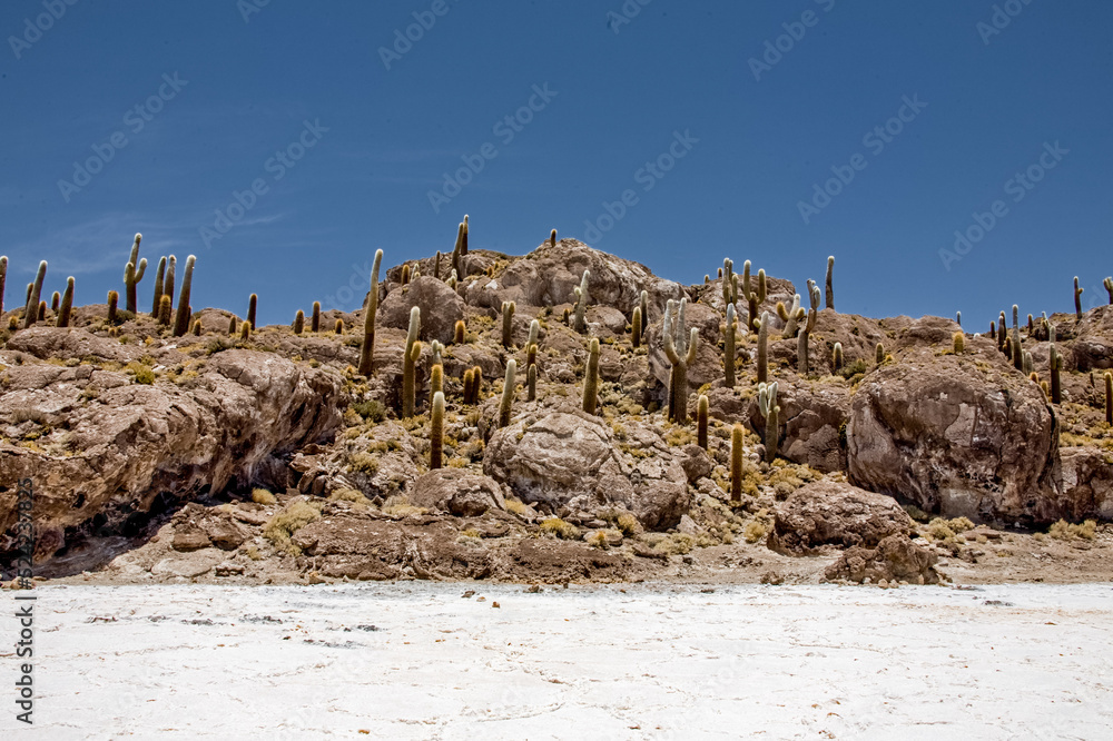 Bolivia. Salt lake and salt flat Salar de Uyuni, Bolivia. South America nature