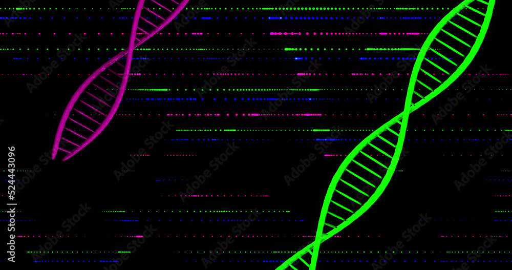 黑色背景下的dna链图像