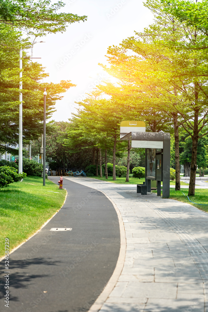 city ​​park square and road