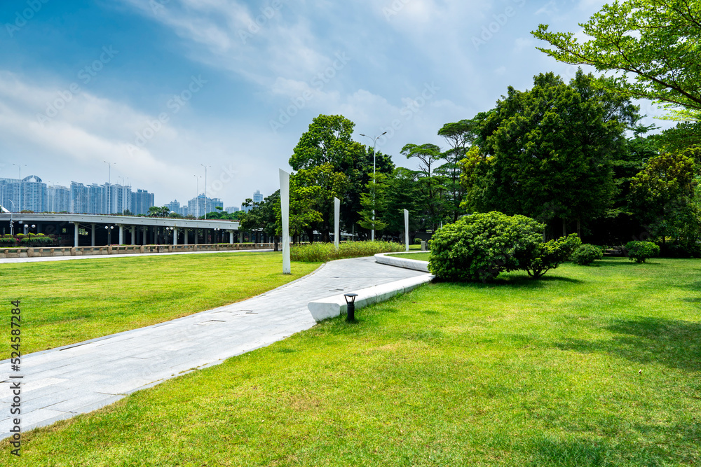 city ​​park square and road