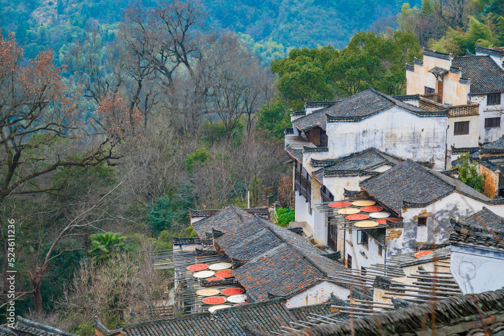 中国江西省婺源黄陵风景区